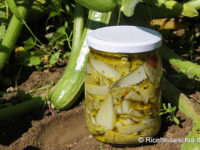 Zucchine sott’olio